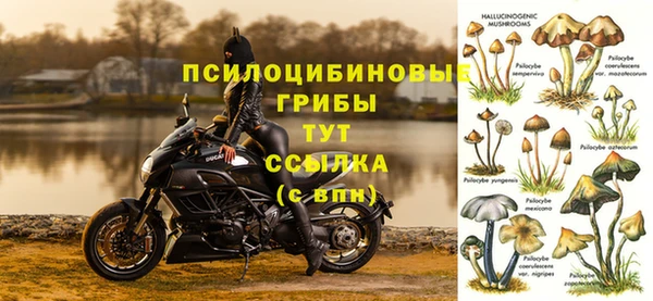 прущий лед Алексеевка