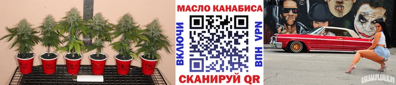 ТГК вейп  МЕГА ссылка  Шумерля 